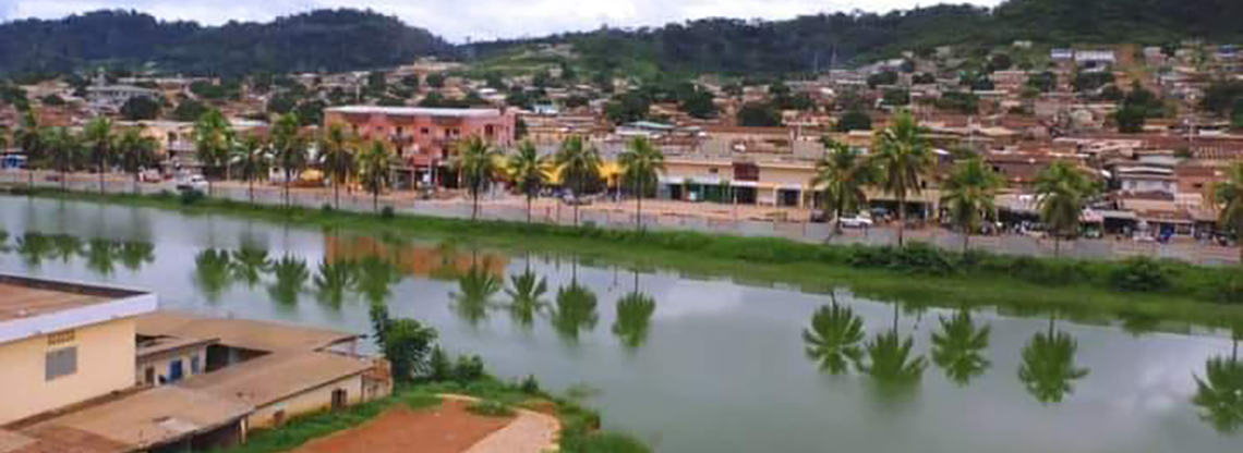 <p>la description</p>